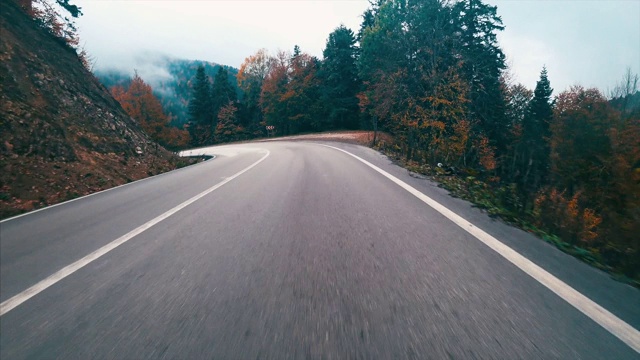 秋天蜿蜒的森林道路视频素材