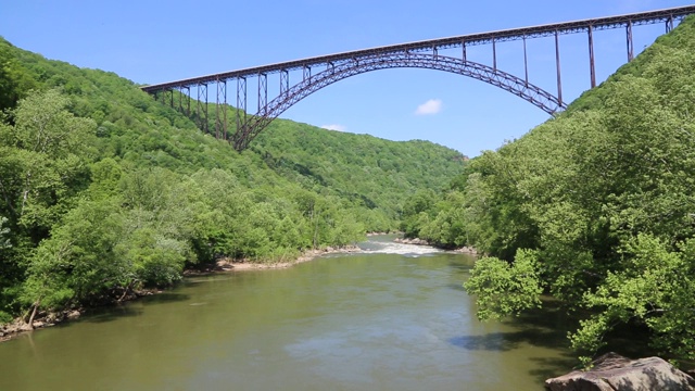 大桥和鸟——新河峡大桥视频素材