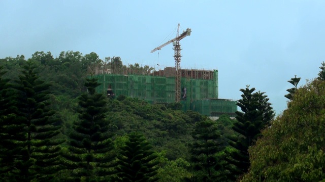 高塔起重机在森林中央的建筑工地工作视频素材