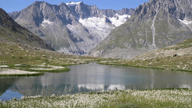 高山高山的山峰上覆盖着积雪，清澈的高山溪流周围环绕着高山植物和岩石。视频素材