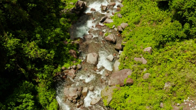 热带雨林的山区河流，菲律宾卡米圭因视频素材