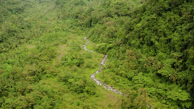 河流在菲律宾卡米圭因的山区丛林中流淌视频素材