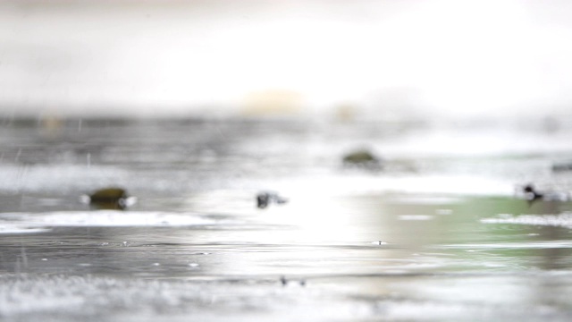 雨滴视频素材