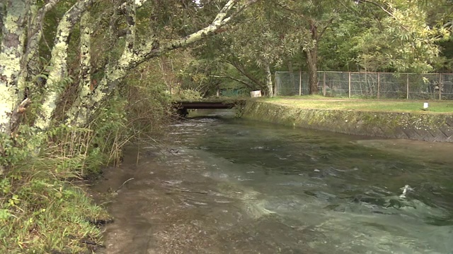 中禅寺湖和一条河，日光，日本视频素材