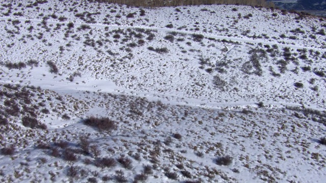 鸟瞰图的积雪覆盖的景观在落基山脉，科罗拉多州，美国视频素材