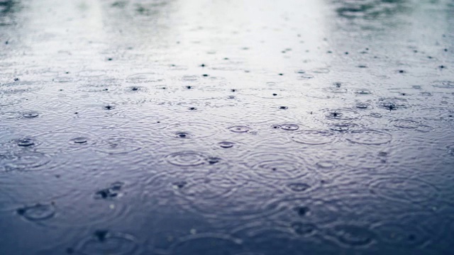 雨滴落在池塘、湖泊或河流的水面上，形成统一的背景。视频素材