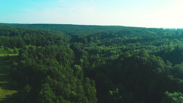 4K空中飞行在一个美丽的绿色森林在农村的风景。视频素材