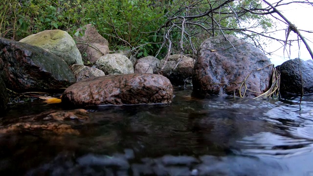 平静的湖岸的场景视频素材