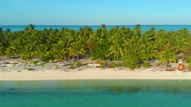 棕榈树的鸟瞰图沿着白沙海岸排列在奥诺克岛在巴拉巴克视频素材