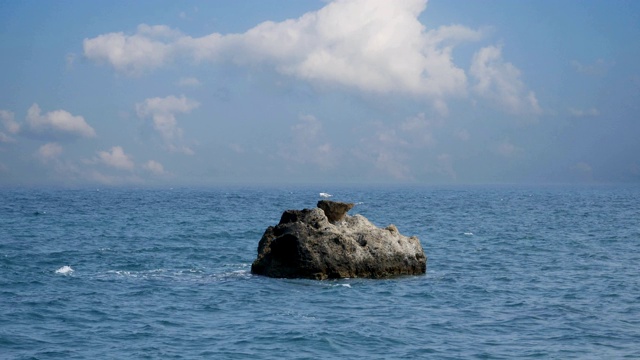 岩石上的海鸥，4k视频素材