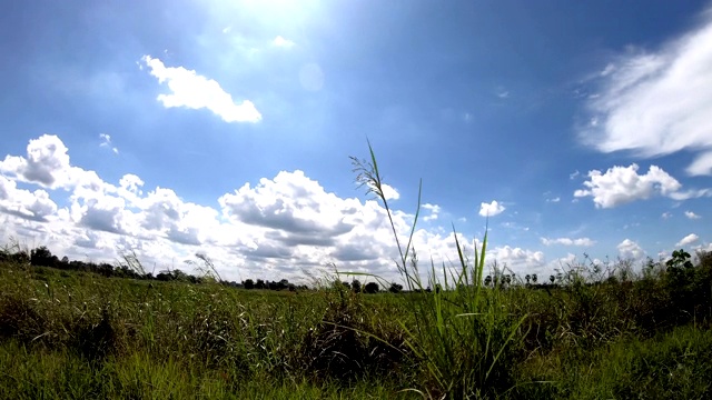 草旁的天空云朵。视频素材