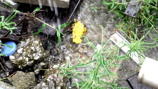 雨点落在人行道上视频素材