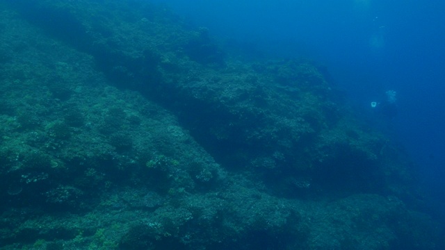 日本小笠原岛的海底山视频素材