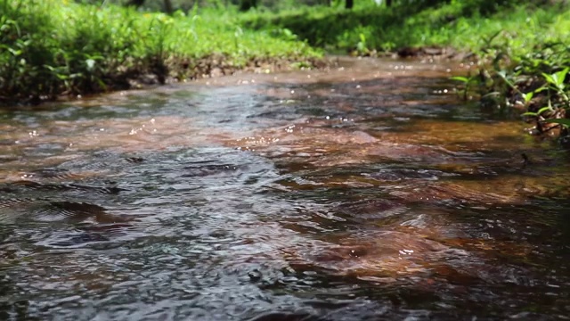 森林河流的溪水缓缓流淌。长满苔藓的河溪岩石。苔藓森林河溪视图。福雷斯特河溪流。视频素材