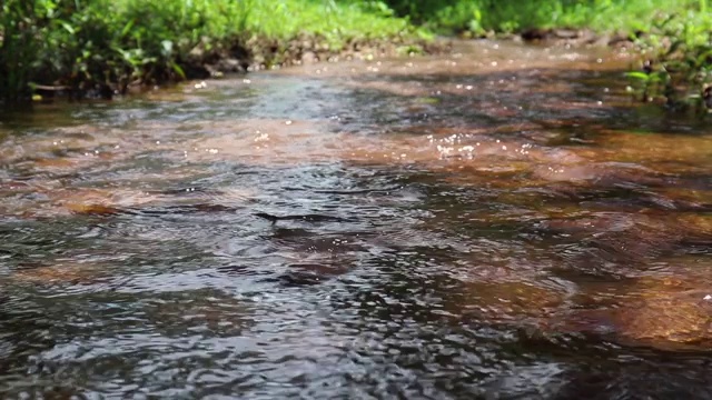 森林河流的溪水缓缓流淌。长满苔藓的河溪岩石。苔藓森林河溪视图。福雷斯特河溪流。视频素材