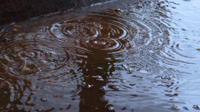 这是热带村庄里的大雨，雨后屋顶上的水滴。视频素材