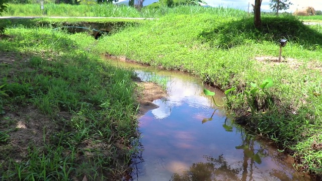 森林河流的溪水缓缓流淌。长满苔藓的河溪岩石。苔藓森林河溪视图。福雷斯特河溪流。视频素材