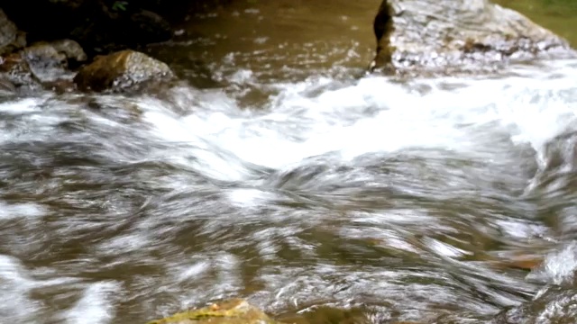 溪水在石头间流动。视频素材