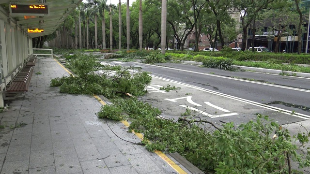 台风苏迪罗4K登陆台湾后造成道路破坏视频素材