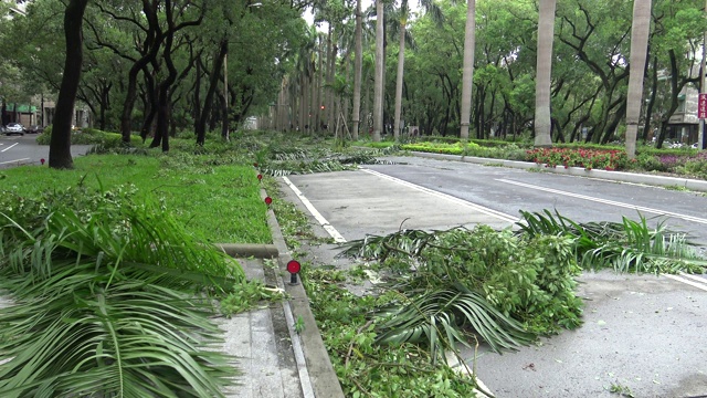 台风苏迪罗4K登陆台湾后造成道路破坏视频素材