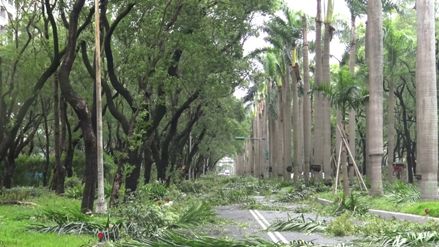 台风苏迪罗4K登陆台湾后造成道路破坏视频素材