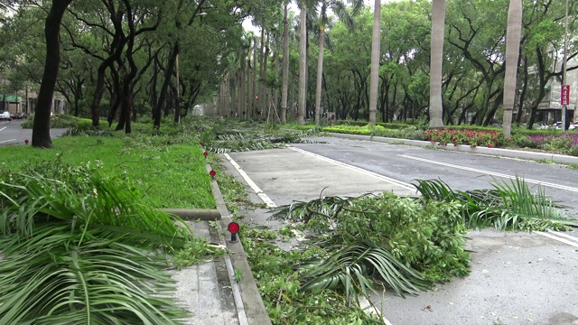 台风苏迪罗4K登陆台湾后造成道路破坏视频素材