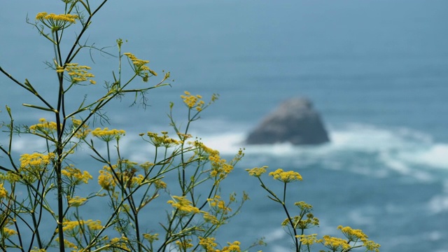 西班牙菲尼斯特雷的死亡海岸和森托洛视频素材