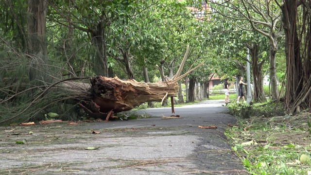 台风苏迪罗4K登陆台湾后造成道路破坏视频素材