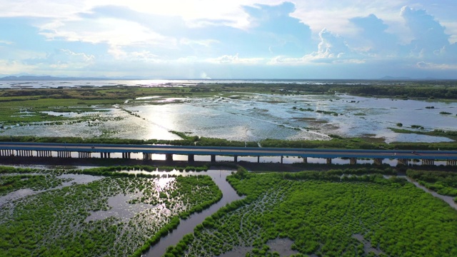 4k无人机电影飞过泰国八达隆横跨自然湖的公路桥视频素材