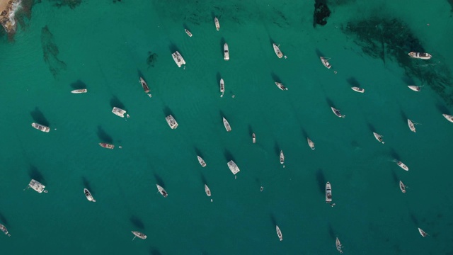 福门特拉岛海湾许多游艇的鸟瞰图。卡拉绍纳湾无人机录像。在巴利阿里群岛驾驶游艇视频素材