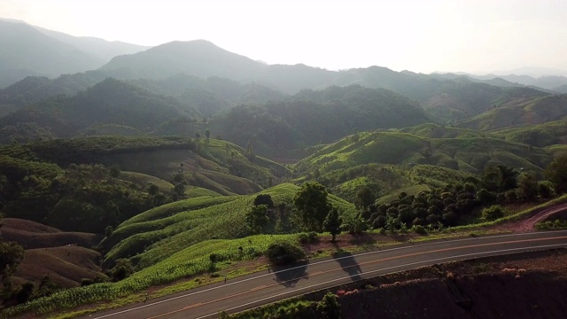 山路上有山有车，山路上有绿油油的森林，航拍视频素材