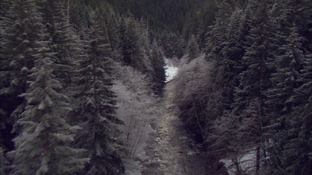 一条河流流经喀斯喀特山脉覆盖着积雪、树木繁茂的河岸。视频素材