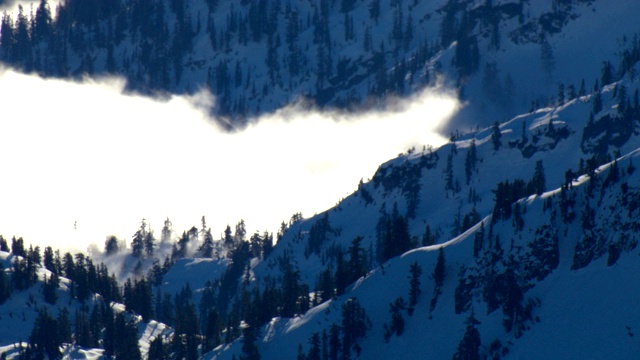 雾笼罩着白雪覆盖、树木繁茂的山谷。视频素材