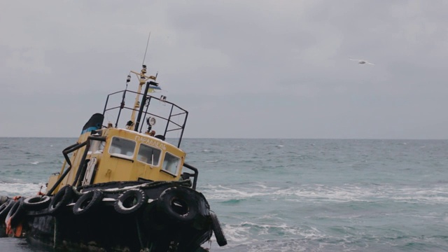 海鸥在蓝天上飞翔。在气流上漂浮的鸟群。视频素材