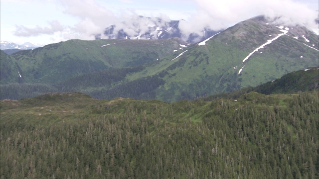 在阿拉斯加，薄雾飘过白雪覆盖、树木繁茂的山峰。视频素材