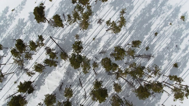 科罗拉多州格兰德县的雪景-自上而下无人机拍摄视频素材