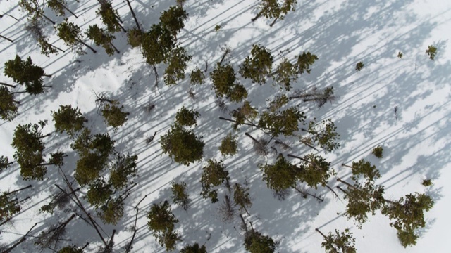 自上而下无人机拍摄的雪景在格兰德县，科罗拉多州视频素材