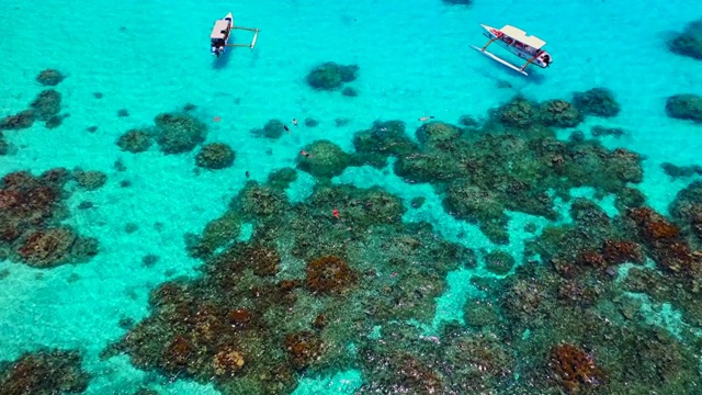 空中的人们浮潜在明亮的蓝色海水在珊瑚礁上，无人机向前飞过他们的船只-波拉波拉，法属波利尼西亚视频素材