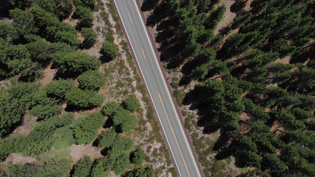 往下看一条空无一人的路，往上走，顺时针转，露出了道路和森林的跨度。视频下载