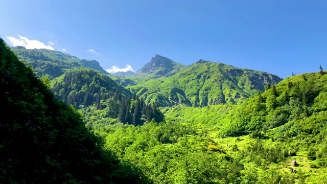 土耳其阿尔特文黑海地区卡尔山脉的绿色自然景观视频素材