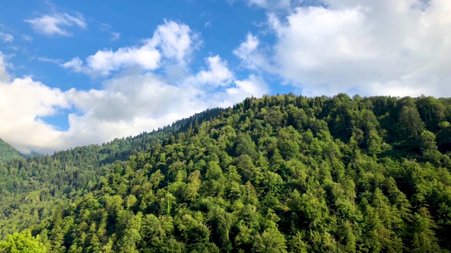 土耳其阿尔特文黑海地区卡尔山脉的绿色自然景观视频素材