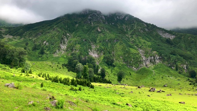 土耳其阿尔特文黑海地区卡尔山脉的绿色自然景观视频素材