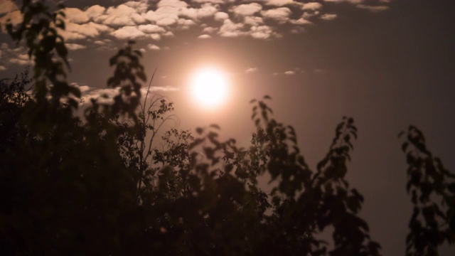 满月在夜空中穿过树木和乌云。间隔拍摄视频素材