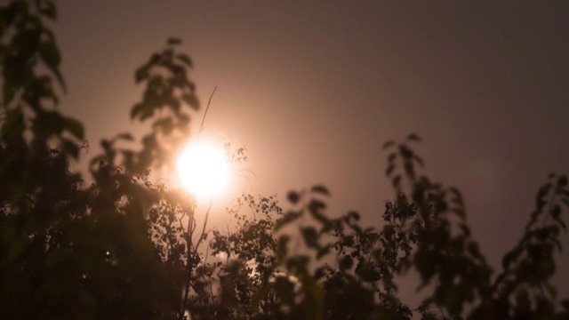 满月在夜空中穿过树木和乌云。间隔拍摄视频素材