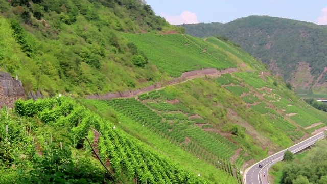 摩泽尔河景观与葡萄园沿山谷(莱茵兰-普法尔茨)。穿过摩泽尔山谷的道路。视频素材