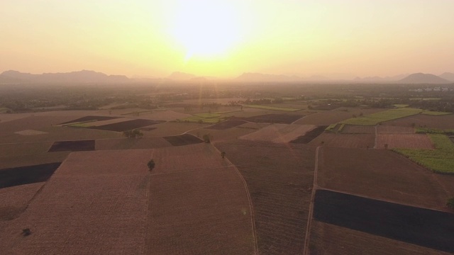 甘蔗农场已经投资种植园，鸟瞰图视频素材