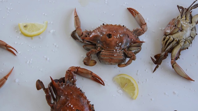 煮红蟹，美味健康的海鲜视频素材