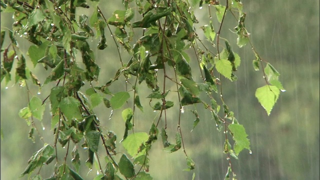 大雨倾盆而下。视频素材