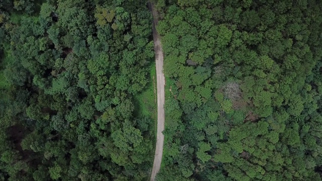 公路的鸟瞰图穿过绿色的森林在泰国清莱省的高地山脉。视频素材