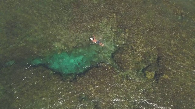 鸟瞰图-男子冲浪者在一个冲浪板划桨在清澈的浅海，4K。视频素材